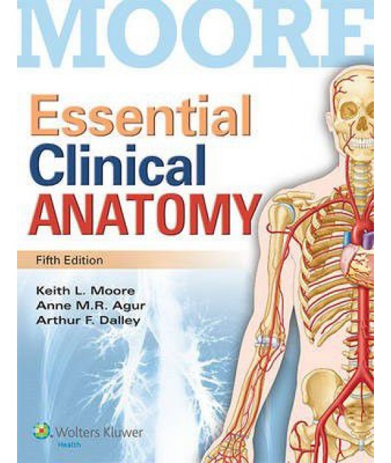 Essential Clinical Anatomy, 5th Edition