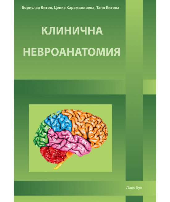 Клинична невроанатомия