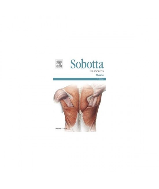 Sobotta Flashcards Muscles, 1st Edition