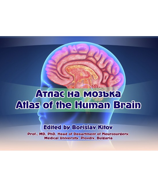 Атлас на мозъка Atlas of the Human Brain