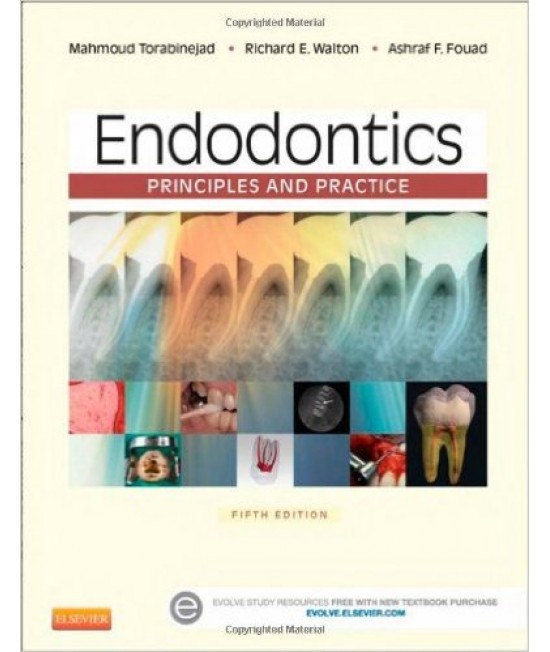 Endodontics 5th Edition
